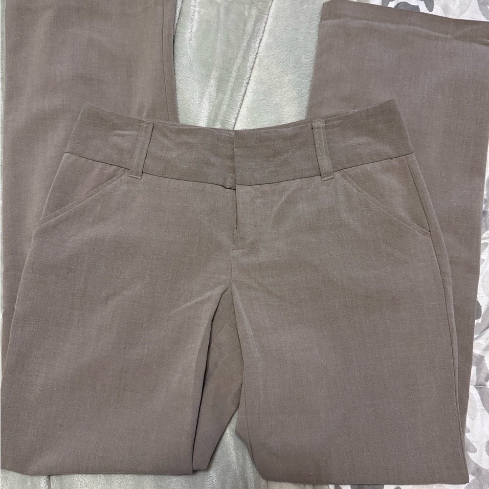 Daisy Fuentes Taupe Trousers